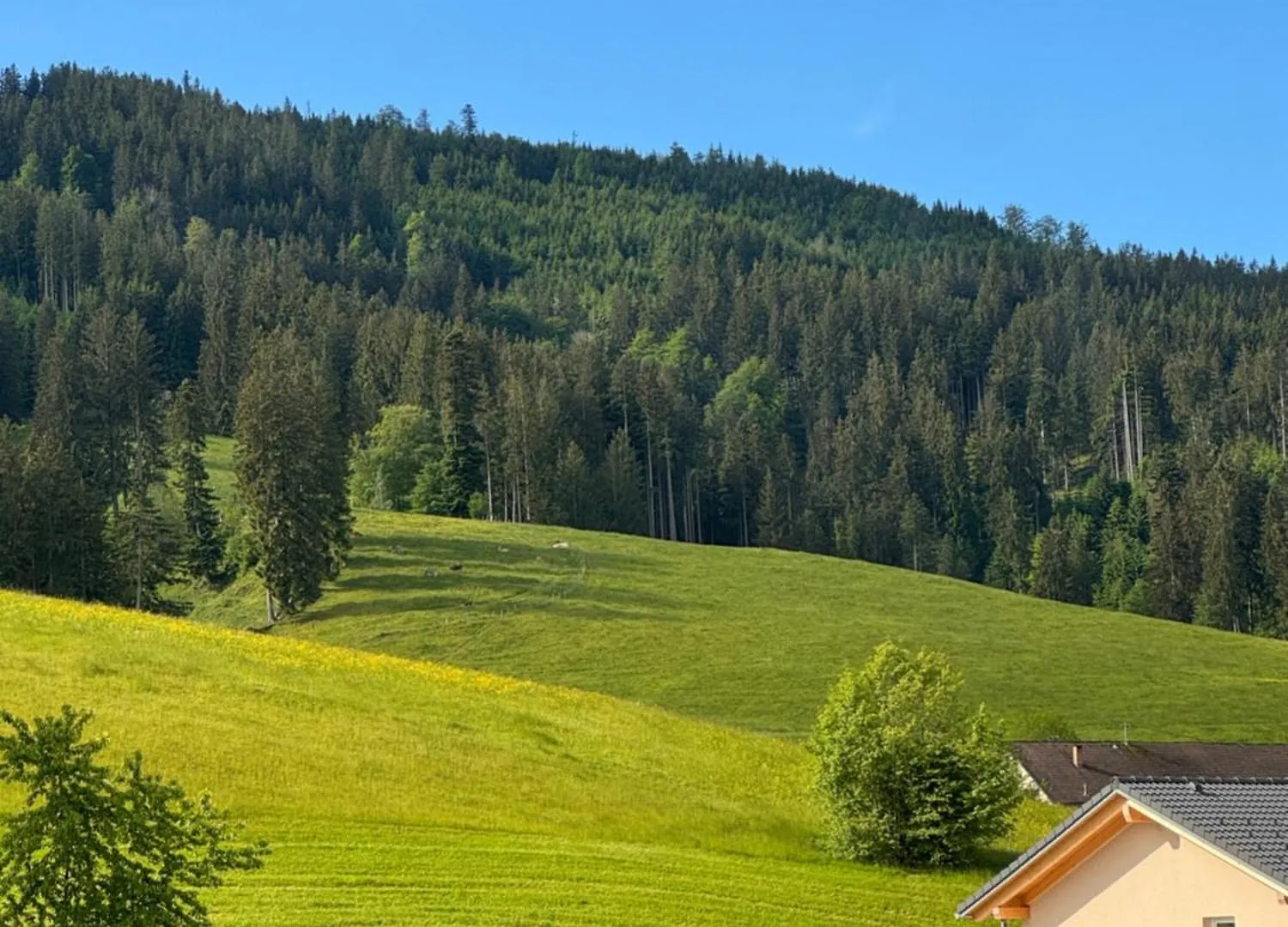 Shaeusl - Bergblick, Tv, Wlan Apartment Weitnau Germany
