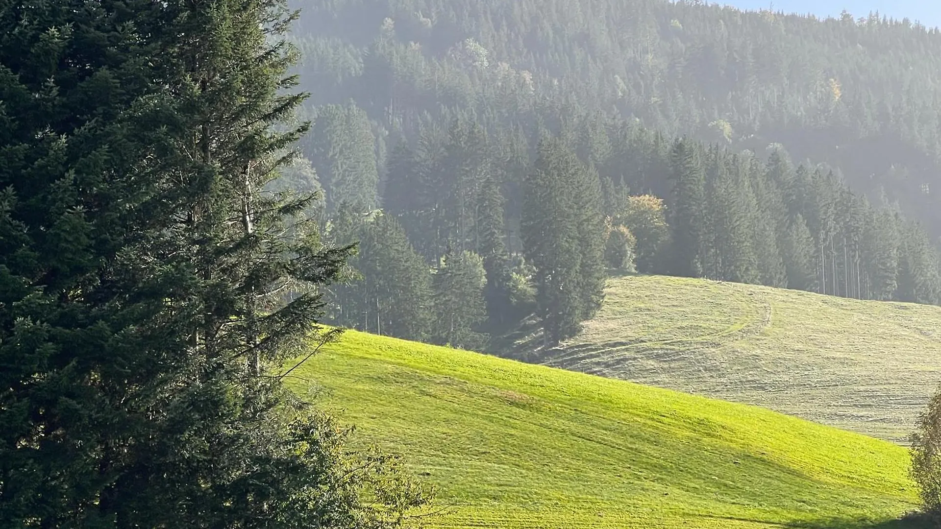 Shaeusl - Bergblick, Tv, Wlan Apartment Weitnau